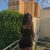 Bursa Merkez VİP Escort Bayan Buse - Görsel1 Bursa Merkez VİP Escort Bayan Buse - Görsel1
