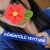 Bursanın merkez VİP Escort Bayanı Ela - Görsel5