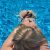 Bursa Bursa Geneli Escort Bayan Asena - Görsel3 Bursa Bursa Geneli Escort Bayan Asena - Görsel3
